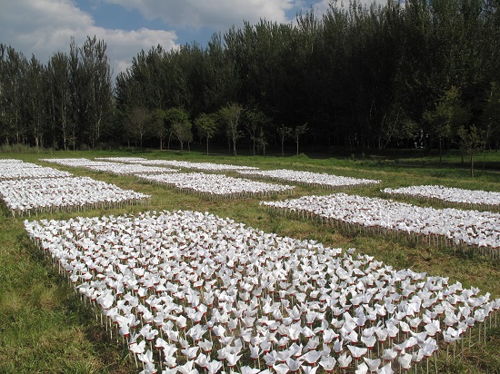 Willem Boshoff Garden of Words III (2006) 15,000 handmade fabric flowers printed with text with plastic support. Dimensions variable. Installation views at the South African National Botanical Gardens, Kirstenbosch, Cape Town. The Nirox Foundation Estate, South of Johannesburg  Photo: Clive Hassall, courtesy of the artist 